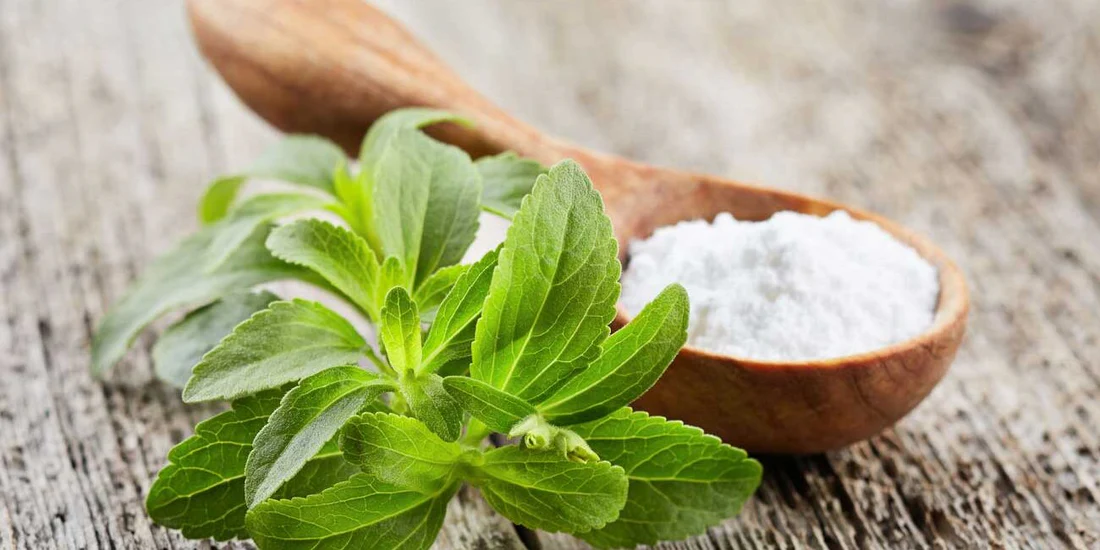 Stevia (ladina keeles Stevia rebaudiana) on Lõuna-Ameerikast, eelkõige Paraguai ja Brasiilia piirkonnast pärinev roheline ravimtaim, mis kuulub päevalillede (korvõieliste) perekonda. Seda tuntakse ka suhkrulehe nime all.Stevia on eelkõige tuntud oma looduslikult magusate lehtede poolest, millest saadakse stevioolglükosiide (E960), mida kasutatakse kalorivaba või madala kalorsusega magusainena ehk suhkruasendajana.