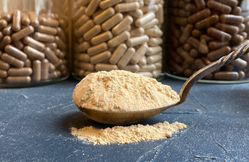 Lõvilakk pulber ja kapslid